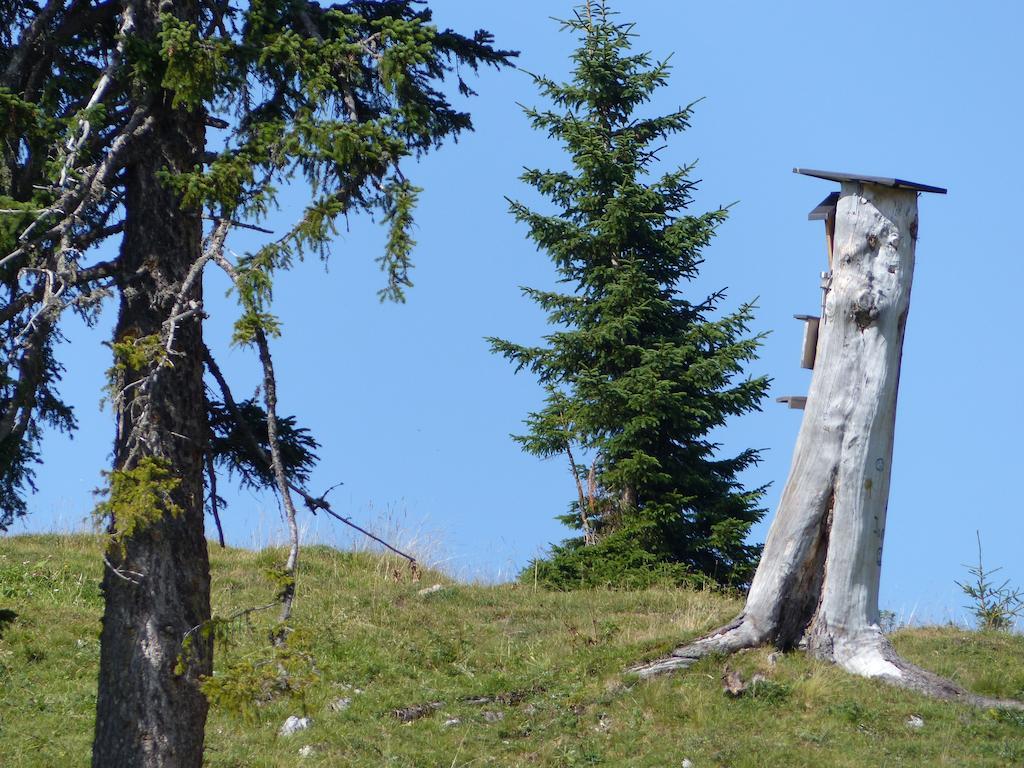Appartamento Haus Resi Berwang Esterno foto